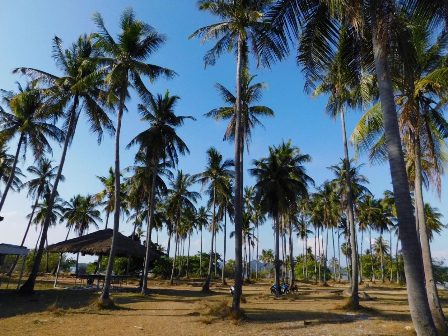Swiss Bonihouse Koh Yao Yai Hotel Ban Phlu Nai Bagian luar foto