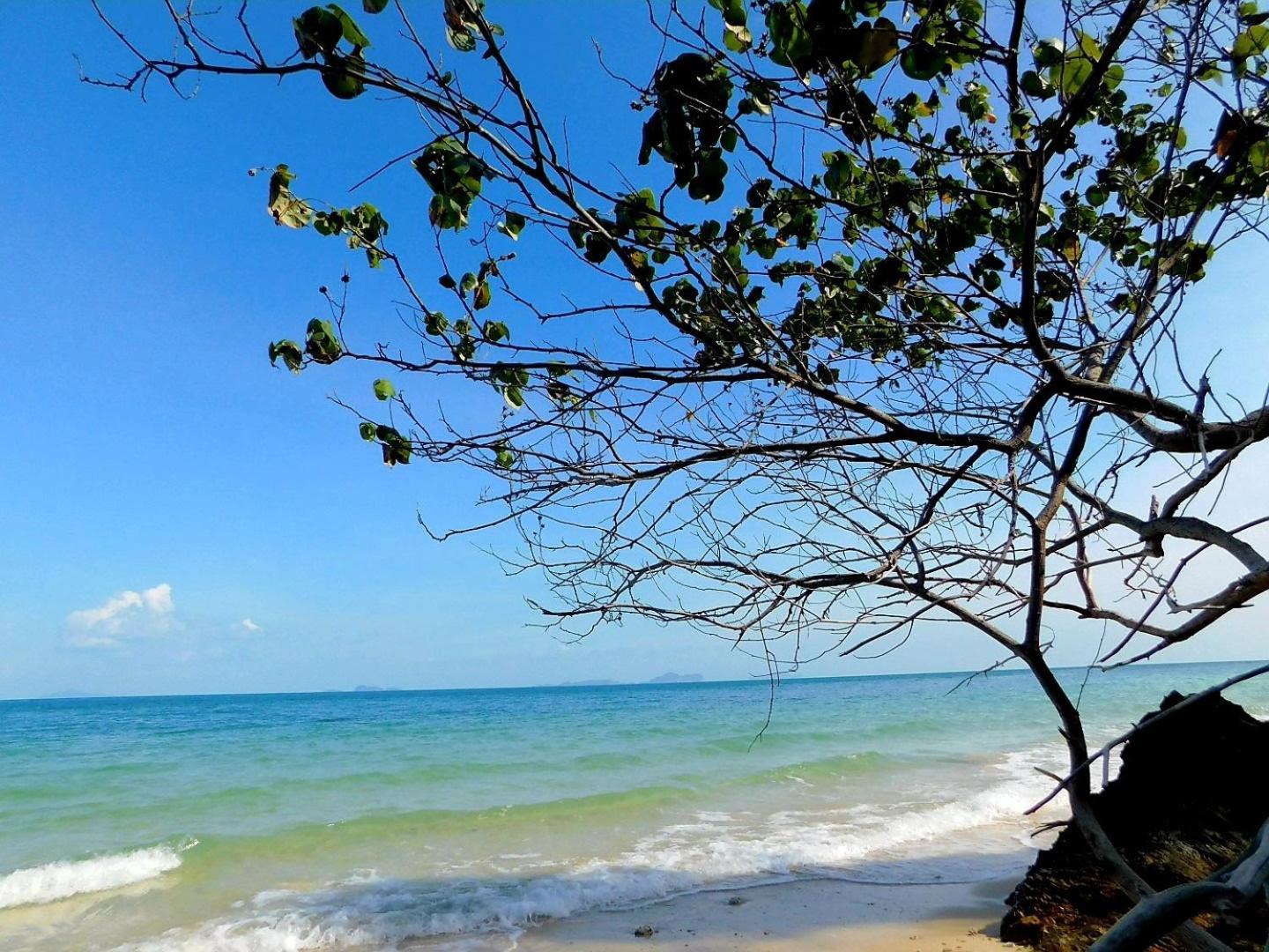 Swiss Bonihouse Koh Yao Yai Hotel Ban Phlu Nai Bagian luar foto